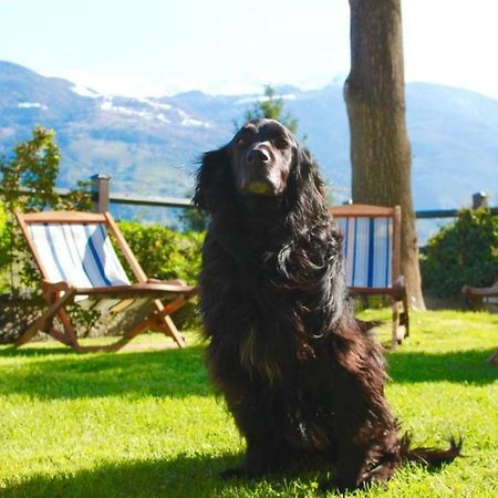 Bed&Breakfast Chez Berry Aosta Kültér fotó